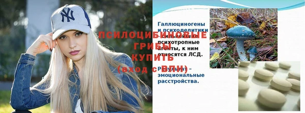 эйфоретик Алзамай